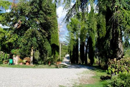 Poggio Al Vento - 48