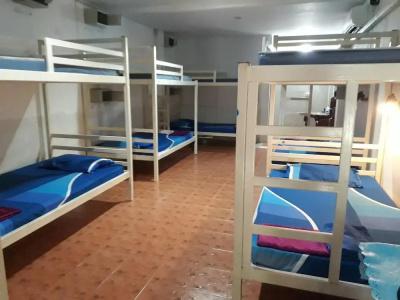 Hangover Hostel - 0