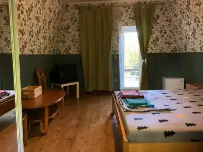 Замок Орлиное Гнездо - 18