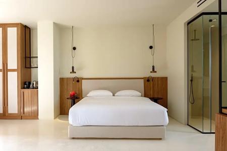 Potnia Theron Suites - 47