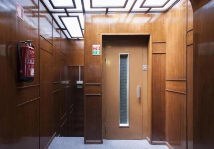 The Rex - 13