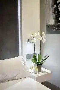 Regina - 50
