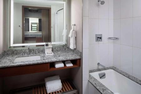 DoubleTree by Hilton - Mayo Clinic Area - 38