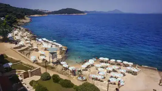 Vitality Punta - 31
