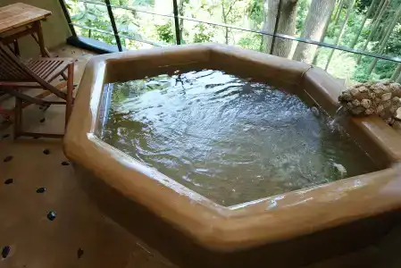 Izukogen Onsen Hana No Kumo - 21