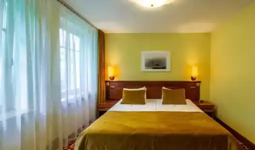 Violeta - 3
