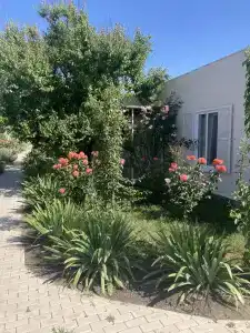 VillaPetra - 23