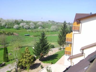 -Gasthof Rose - 39