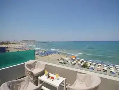 Palm Beach - 39