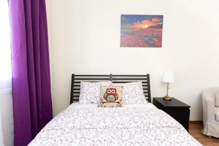 Laila's Cozy Garden House & Studio - 2