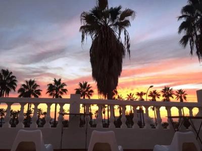 Endless Summer - 19