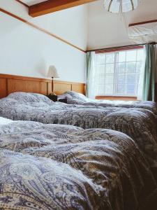 Hakuba Meteor Lodge - 162