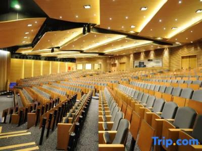 Beatriz Toledo Auditorium & Spa - 125