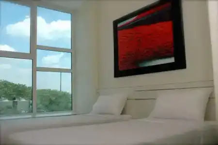 81 Elegance - SG Clean - 6