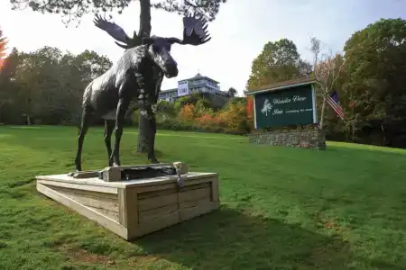 Wonder View Inn - 1