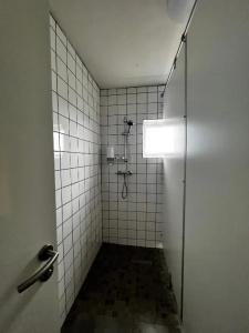 Sauðanes - 58