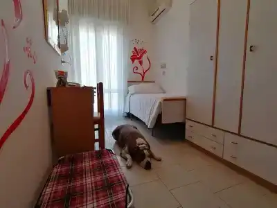 Kristalex Pet Family - 4