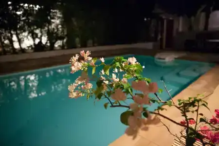 Samui Family - 12