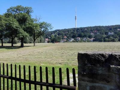 Alttolkewitzer Hof - 14