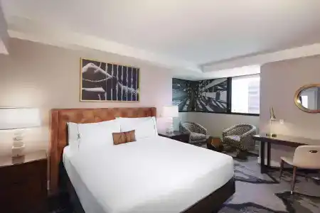 The Highland Dallas, Curio Collection by Hilton - 52