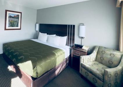 Quality Inn - 53