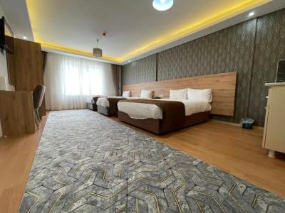 Van Diana Otel - 55