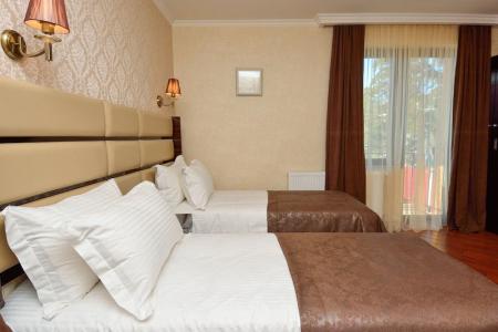 King David Bakuriani - 72