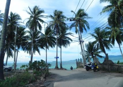 Baan Tropicana - 14
