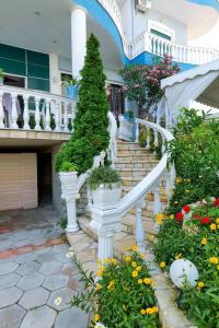 Divo Palace - 11