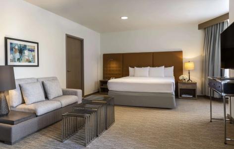 Hyatt Regency Houston - 4