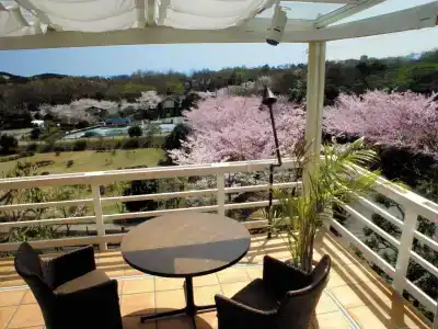 Resort Corte Largo Izu Kogen - 20