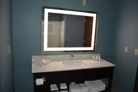 Microtel Inn & Suites by Wyndham College Station - 51