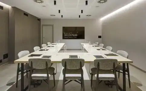Sercotel Ayala - 18