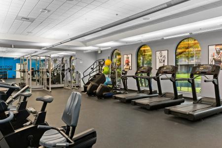 WorldMark - 31