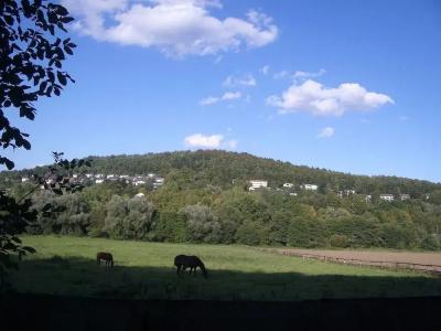 Waldcafé Jäger - 20