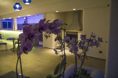 La Bella Trani - Suites And b&b - 15