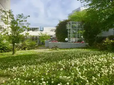 Winterhouse - 20