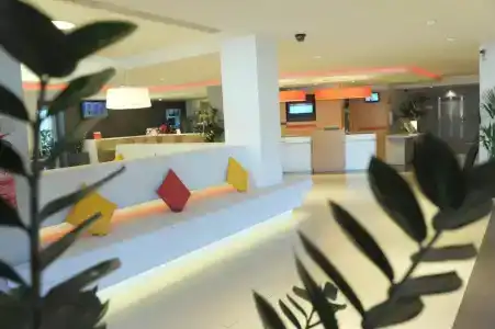 Ibis Cornella - 23