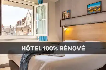 ibis Blois Centre Château - 44