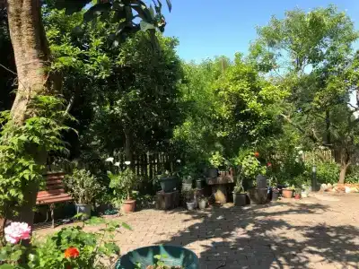 Villa la familia - 42