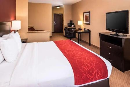 Comfort Suites Airport Convention Center - 43