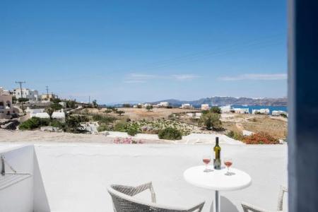 Thira's Dolphin - 104