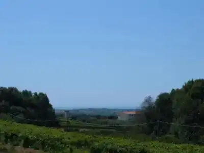Azienda Agricola Sinisi - 47