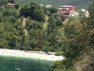Palatino - 14