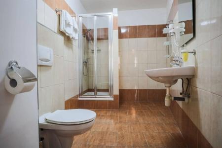 Pension U Lilie - 7