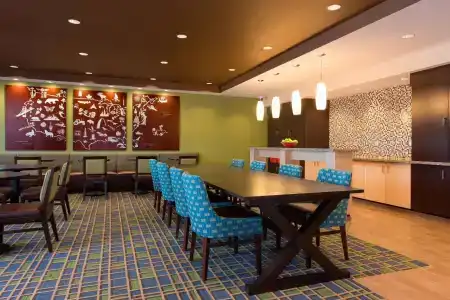 TownePlace Suites by Marriott South/Hamburg Place - 19