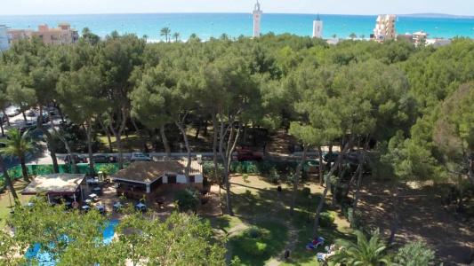 Riu Festival - 19