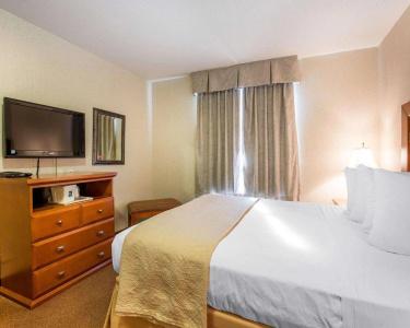 Quality Inn & Suites - 38