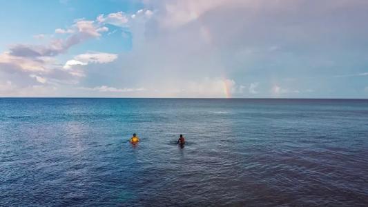 The Maverick Surf and Dive Boutique - 11