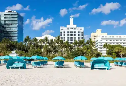 The Palms & Spa - 40